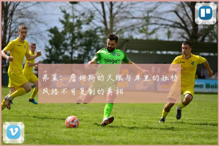 弗莱:詹姆斯的天赋与库里的独特风格不可复制的真相